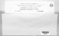 Image Associated With the Occurrence
